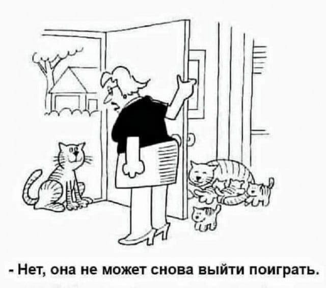 Скрины из соцсетей            