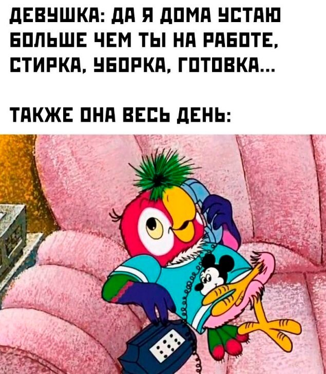 Скрины из соцсетей            