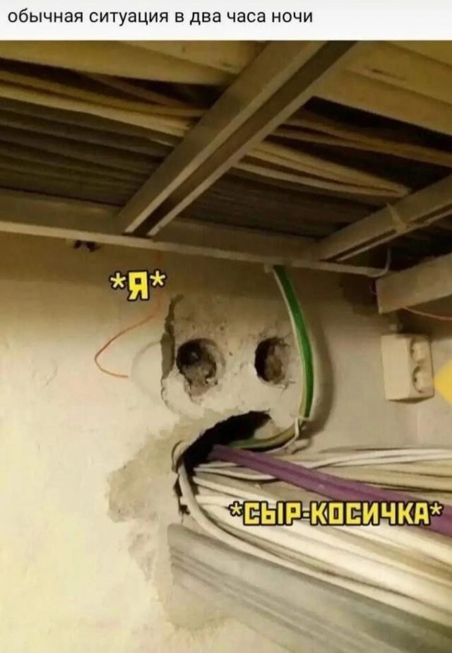 Скрины из соцсетей            