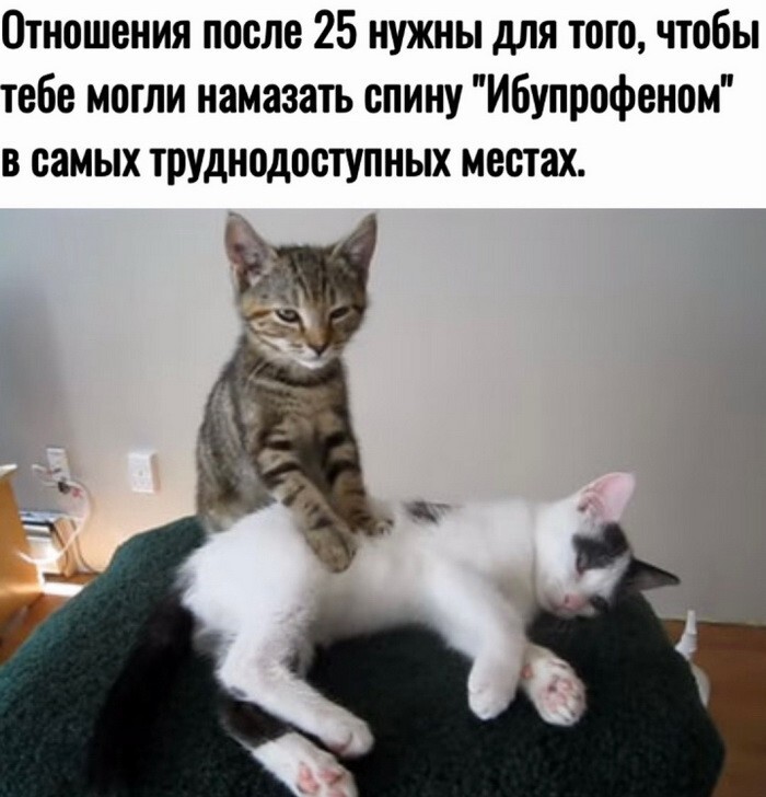 Скрины из соцсетей            