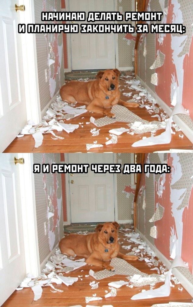 Скрины из соцсетей            