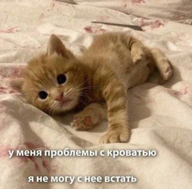 Скрины из соцсетей            