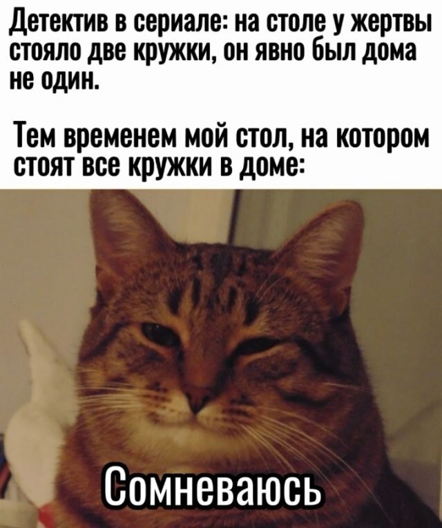 Скрины из соцсетей            