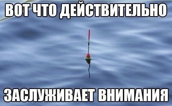 Скрины из соцсетей            