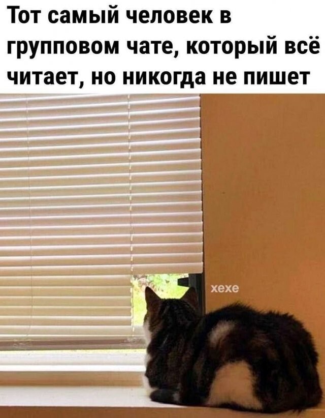 Скрины из соцсетей            