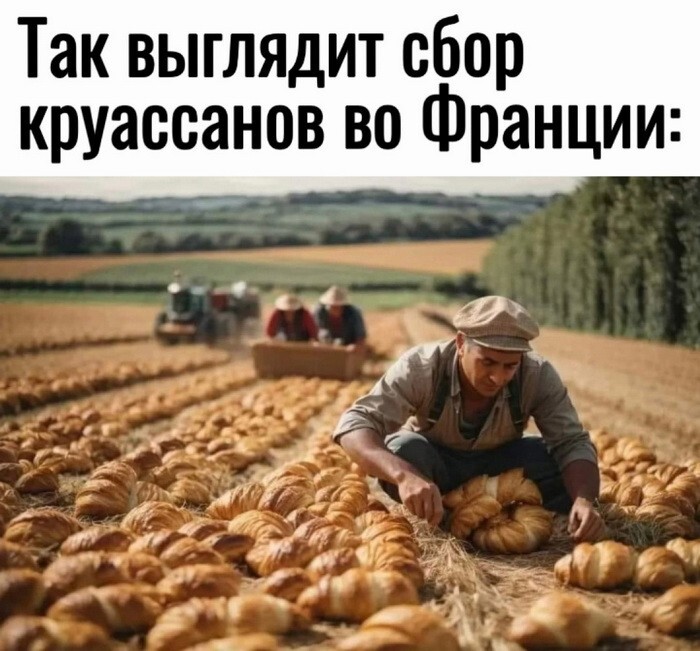 Скрины из соцсетей            