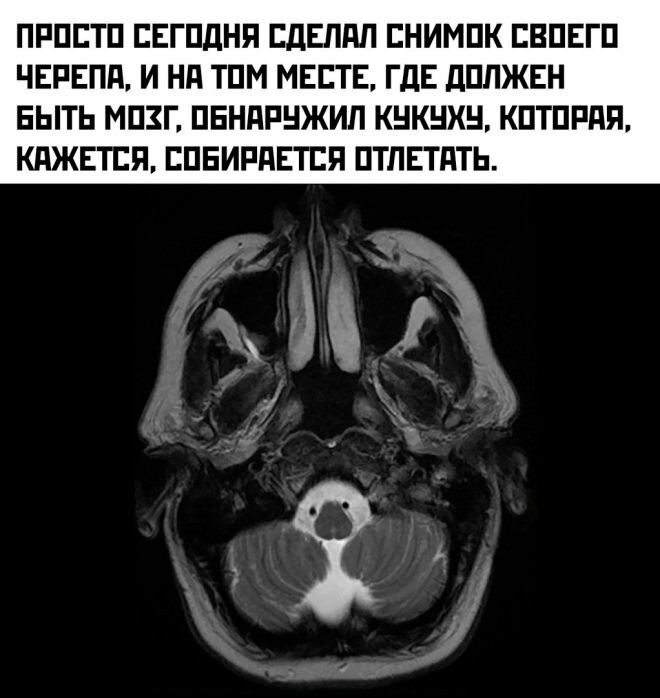 Скрины из соцсетей            