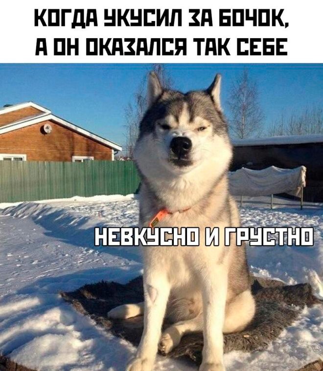 Скрины из соцсетей            