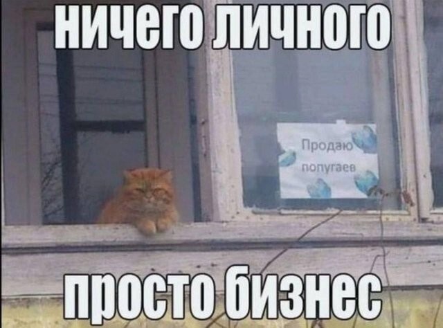 Скрины из соцсетей            