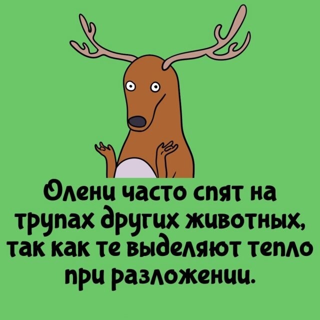 А вдруг ты не знал…