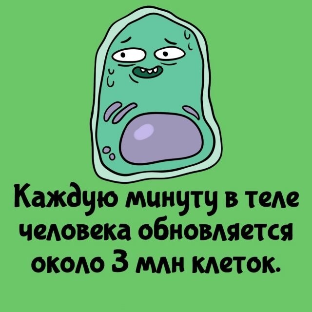 А вдруг ты не знал…