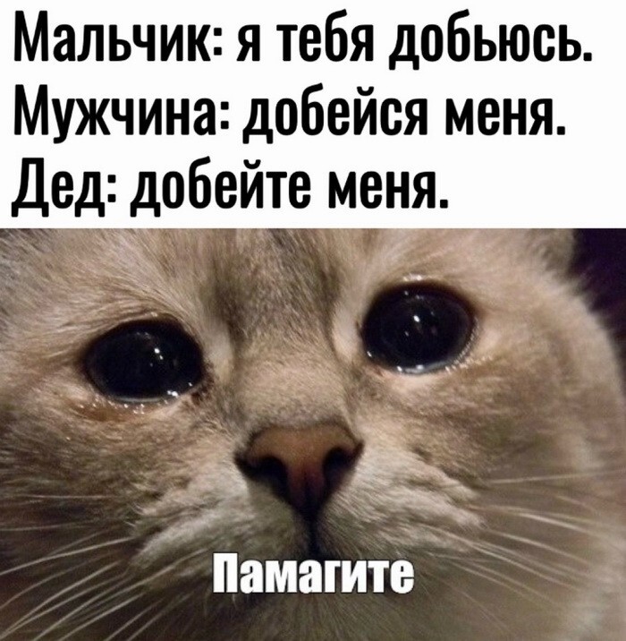  Намешалось 