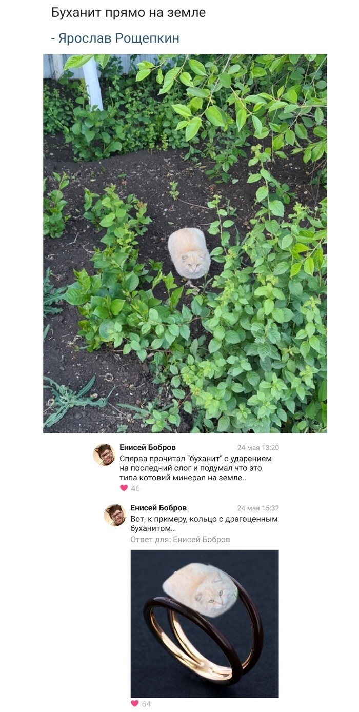 Не ищите здесь смысл. Здесь в основном маразм