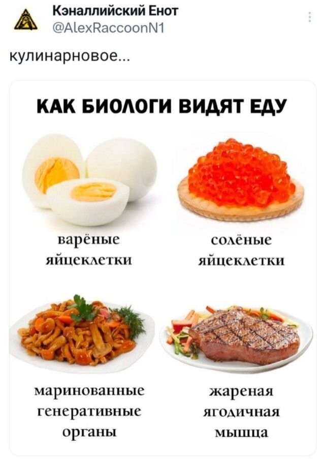 Не ищите здесь смысл. Здесь в основном маразм