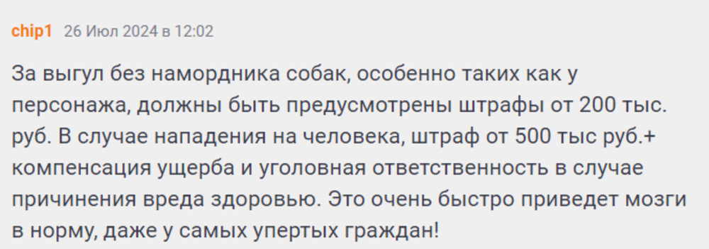«Не подходи, я в голову стрельну»: в Питере задержали неадекватного собачника, угрожавшего прохожим пистолетом