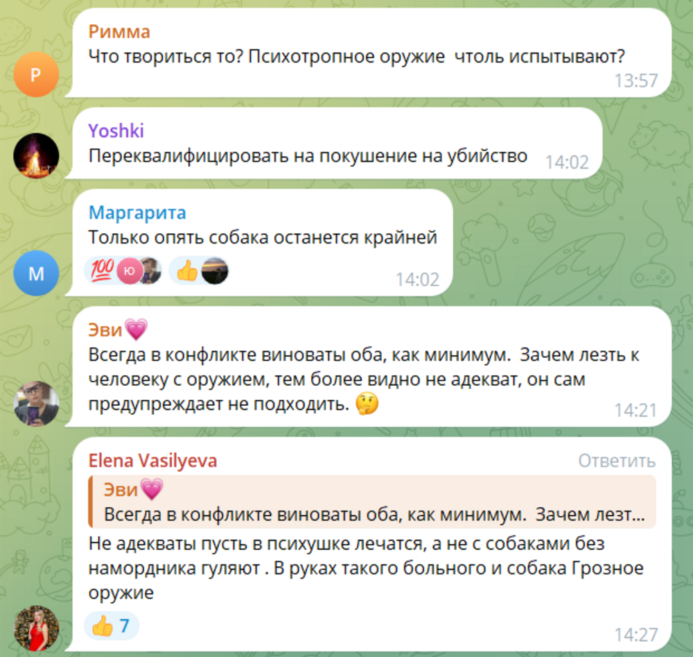 «Не подходи, я в голову стрельну»: в Питере задержали неадекватного собачника, угрожавшего прохожим пистолетом