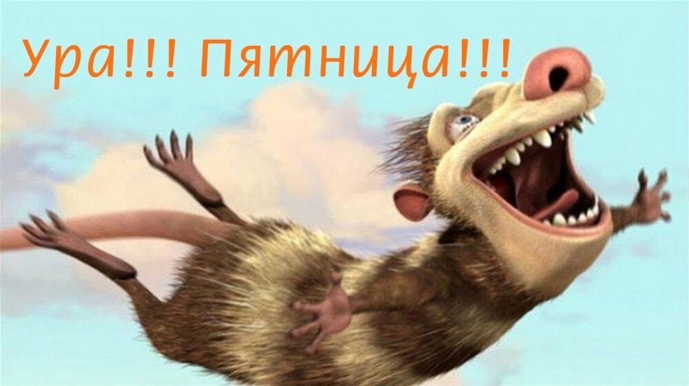 Сегодня пятница пора расслабиться, проблемы в задницу