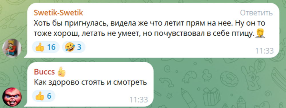 В Башкирии дельтапланерист неудачно приземлился и отправил женщину в больницу