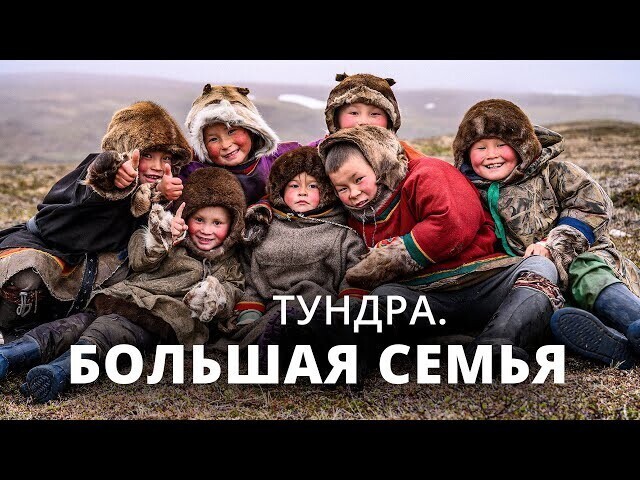 Тундра. Большая семья | Документальный фильм