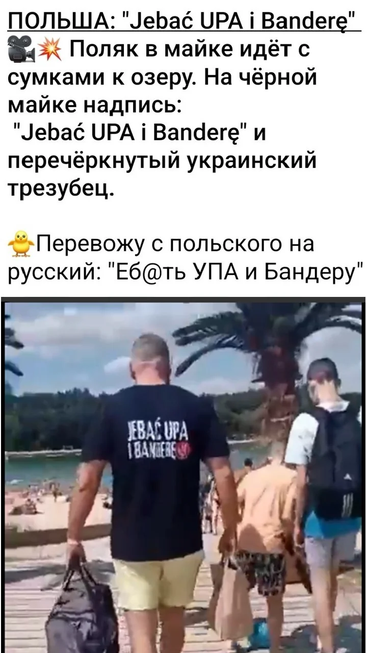 635a2234a0caee4c0d352f0f4720f0e7.jpg.webp