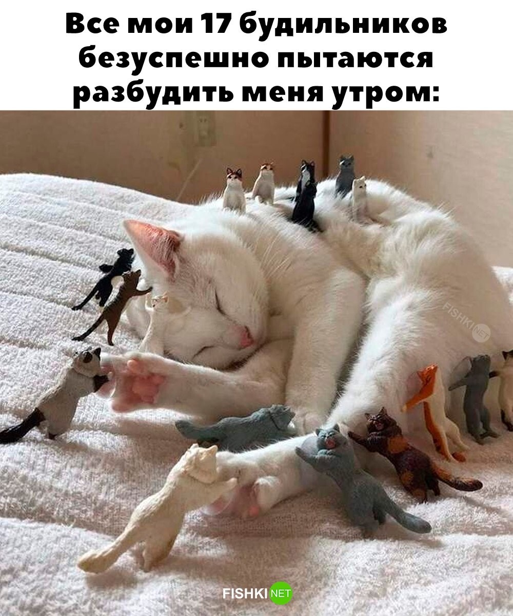 У всех такое было 