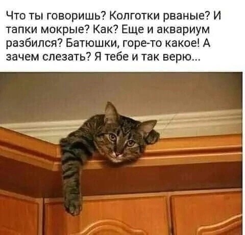 Улыбатор