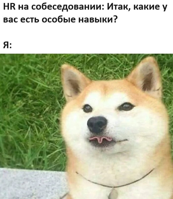 Улыбатор