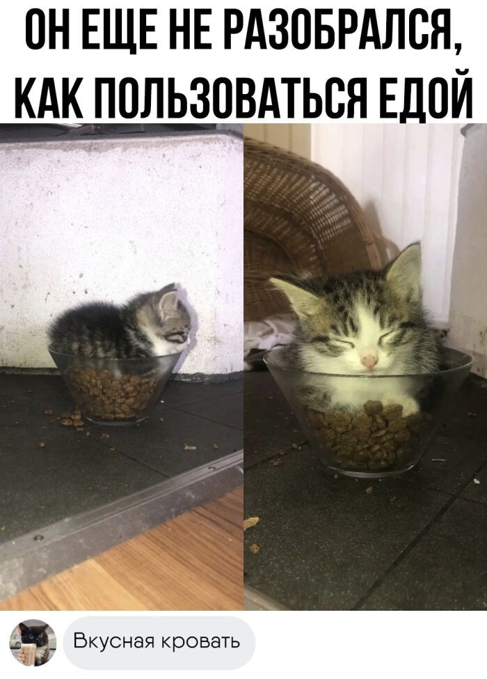 Улыбатор