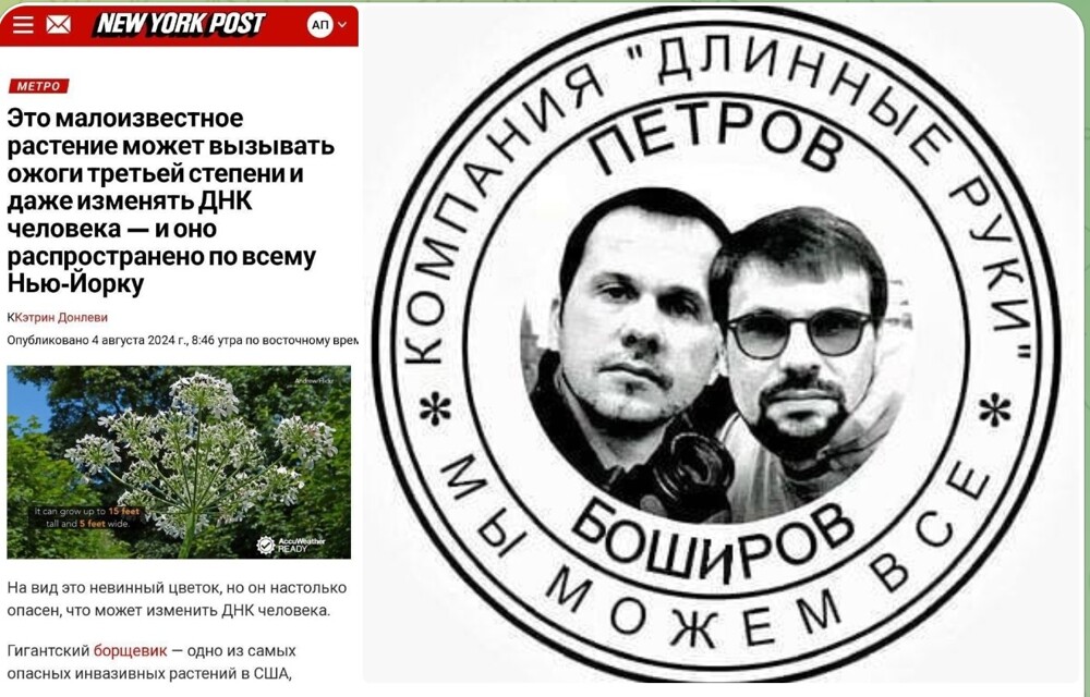 Кто-то завез в США борщевик