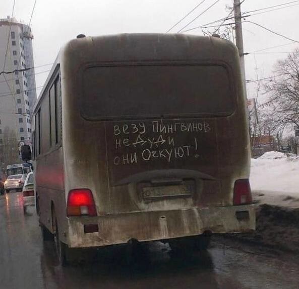 «Очкующие пингвины» должно войти в оборот.