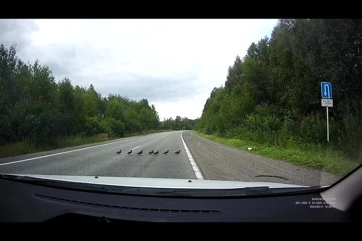 Сегодня на трассе, недалеко от Еката