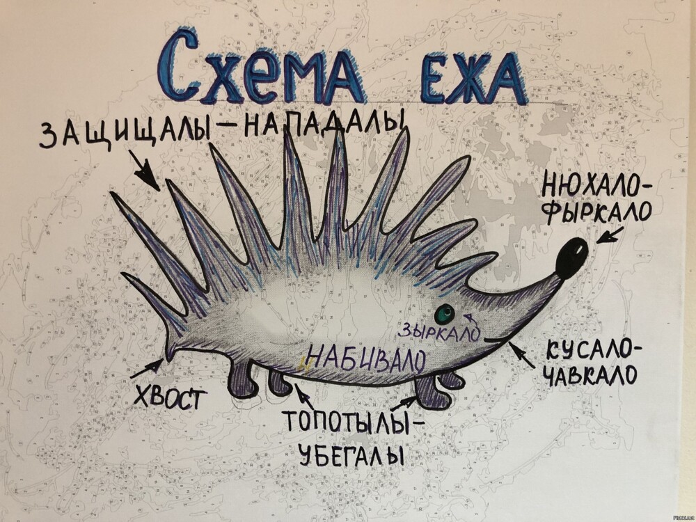 Сегодня побывали в Ежинариуме ?