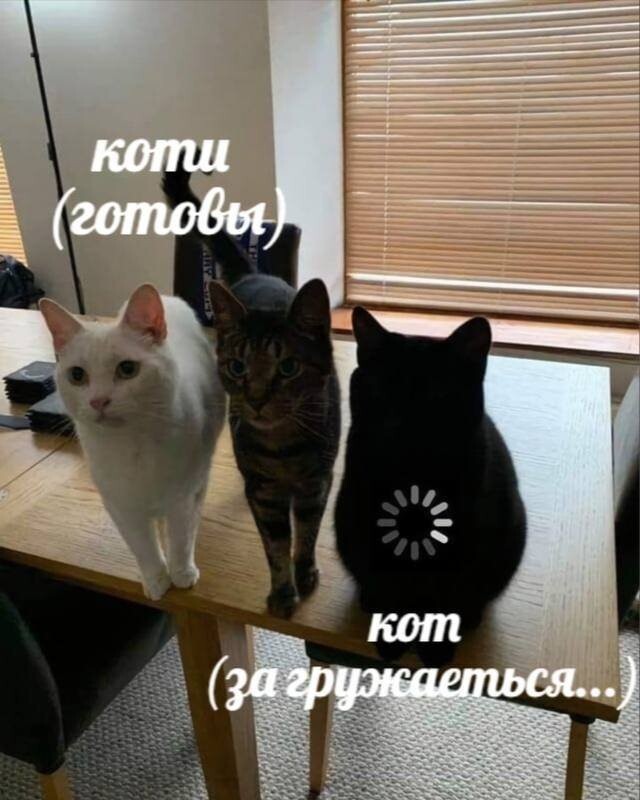 Скрины из соцсетей