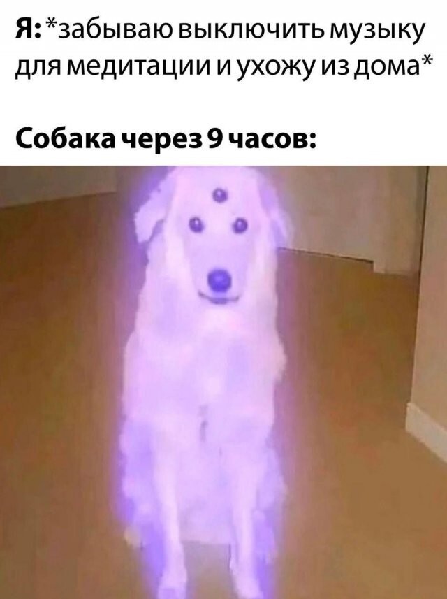 Скрины из соцсетей