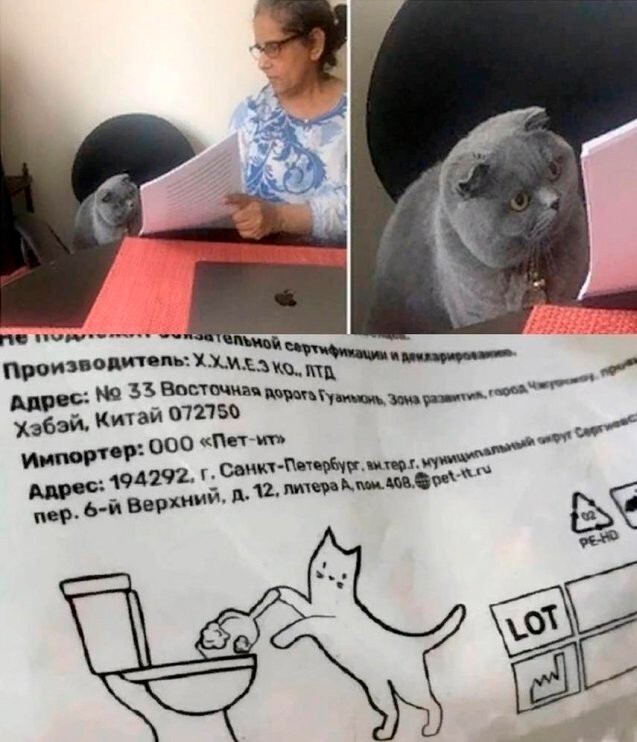 Скрины из соцсетей