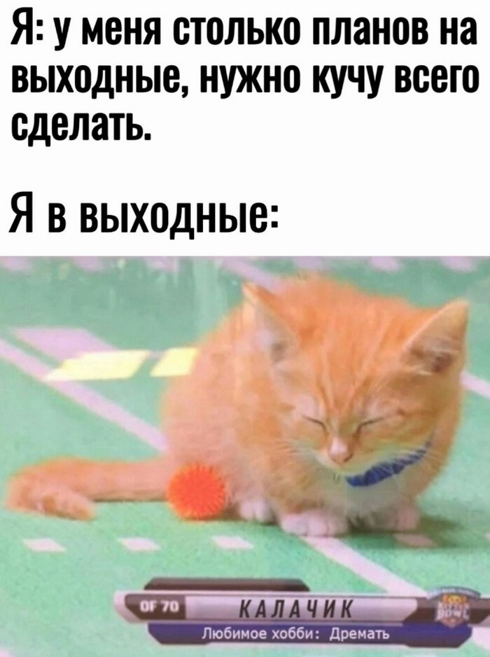 Улыбайтесь, господа. Улыбайтесь!