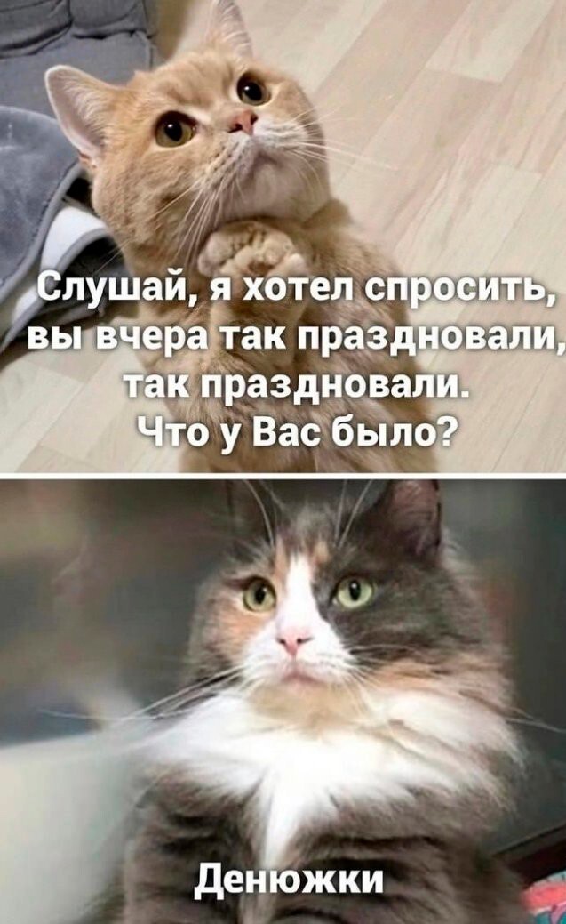 Улыбайтесь, господа. Улыбайтесь!