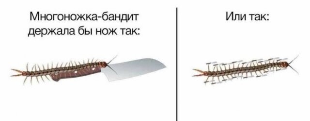 Скрины из соцсетей            