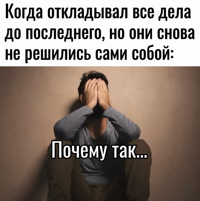 Скрины из соцсетей            