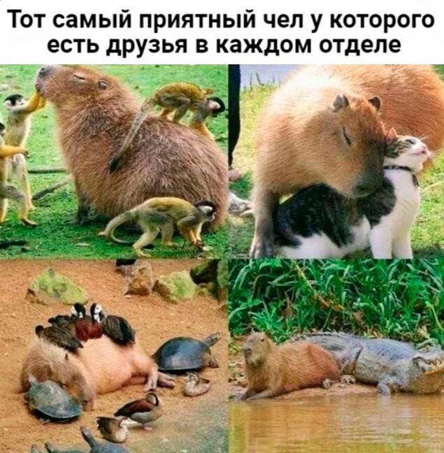 Скрины из соцсетей            