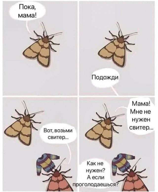 Скрины из соцсетей            