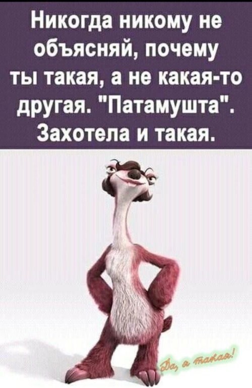 Просто веселые картинки