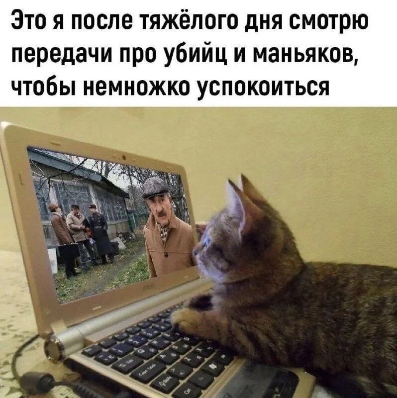 Просто веселые картинки