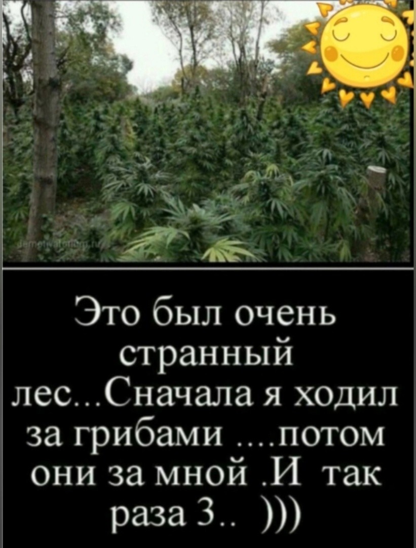 Просто веселые картинки