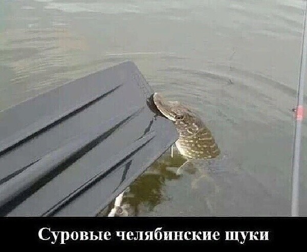 Просто веселые картинки