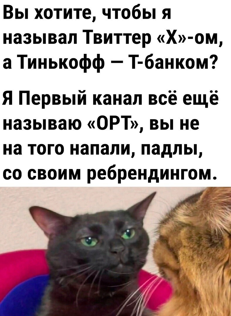 Просто веселые картинки