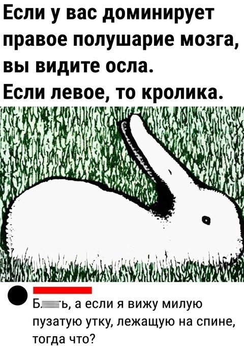Просто веселые картинки