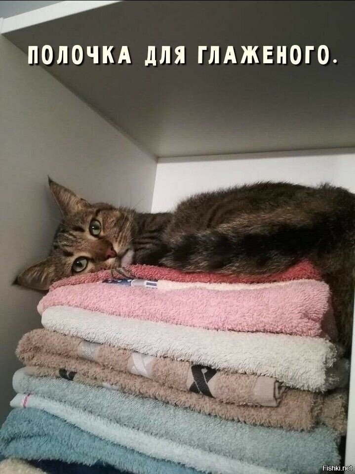 неглаженый на глаженом
