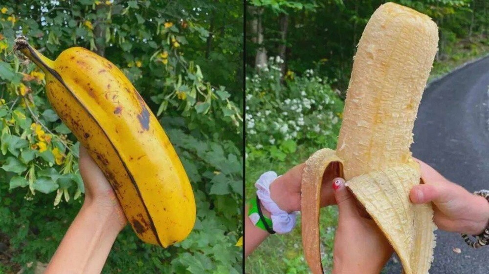 На общую тему 