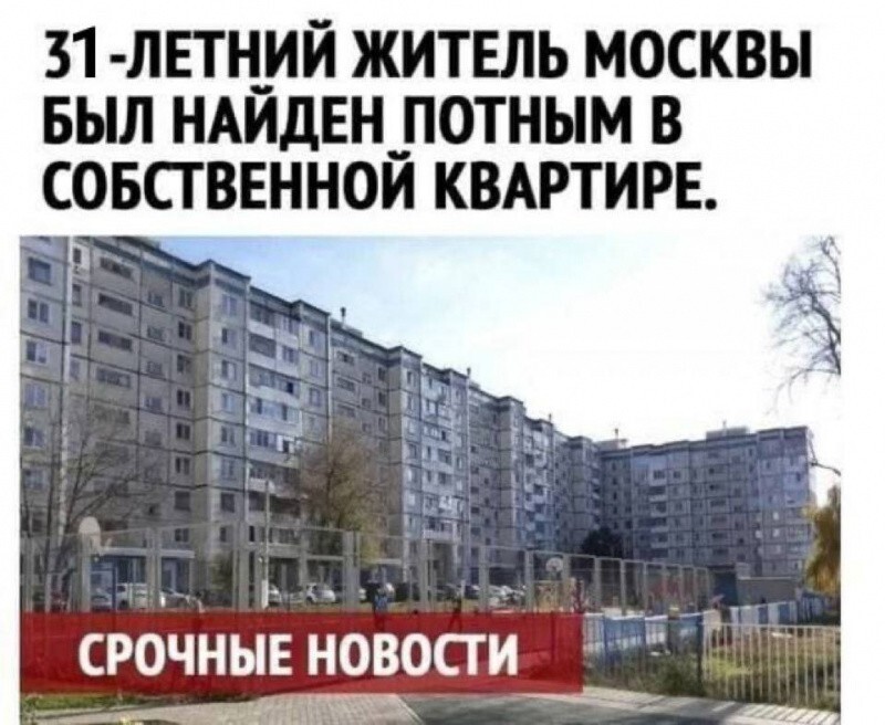 Всё вразнобой 